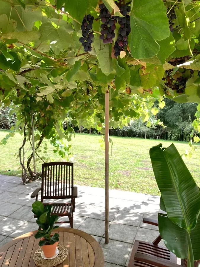 Urretxiki-Maruri Home Bilbao & Nature Experience Maruri Jatabe Dom wakacyjny